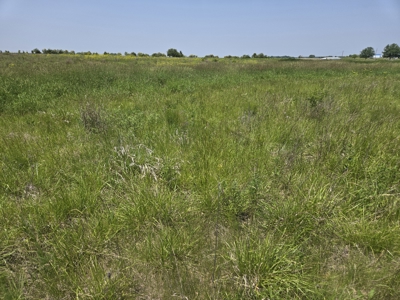 CRP Land with Recreational Opportunities - image 2