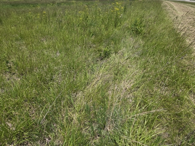 CRP Land with Recreational Opportunities - image 9