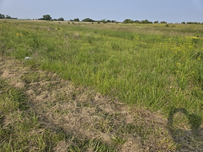CRP Land with Recreational Opportunities - image 8