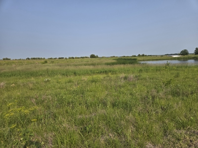CRP Land with Recreational Opportunities - image 5