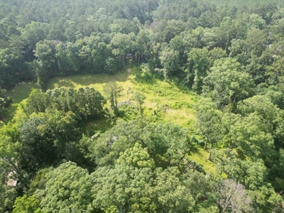 Clinton 30 Acres for Sale - Rural Land Near Baton Rouge, LA - image 5