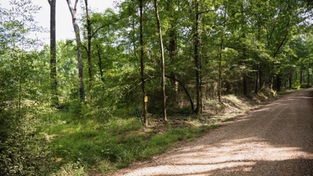 Clinton 30 Acres for Sale - Rural Land Near Baton Rouge, LA - image 11