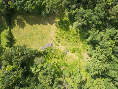 Clinton 30 Acres for Sale - Rural Land Near Baton Rouge, LA - image 7