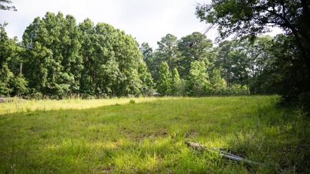 Clinton 30 Acres for Sale - Rural Land Near Baton Rouge, LA - image 15