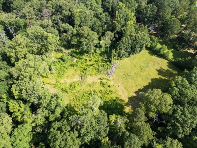 Clinton 30 Acres for Sale - Rural Land Near Baton Rouge, LA - image 3
