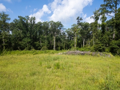 Clinton 30 Acres for Sale - Rural Land Near Baton Rouge, LA - image 9