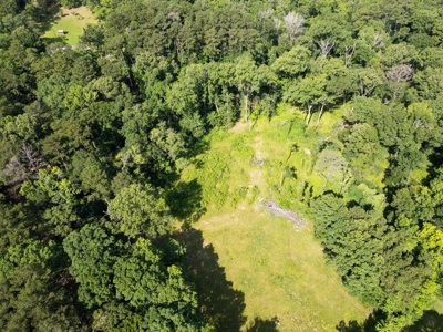 Clinton 30 Acres for Sale - Rural Land Near Baton Rouge, LA - image 2