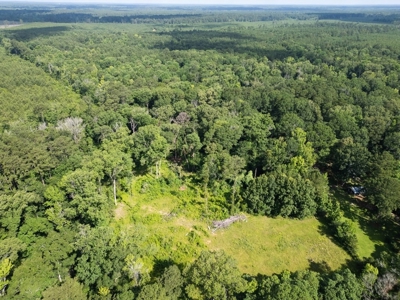 Clinton 30 Acres for Sale - Rural Land Near Baton Rouge, LA - image 4