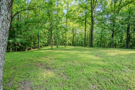 Country Home with Barn on 30± Acres – 3BR 3BA - image 21