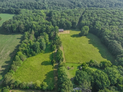 Country Home with Barn on 30± Acres – 3BR 3BA - image 49