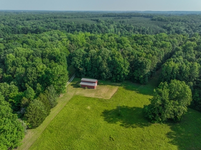 Country Home with Barn on 30± Acres – 3BR 3BA - image 6