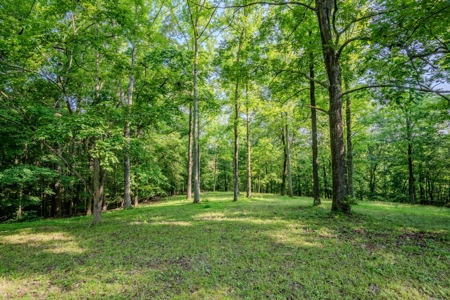 Country Home with Barn on 30± Acres – 3BR 3BA - image 22
