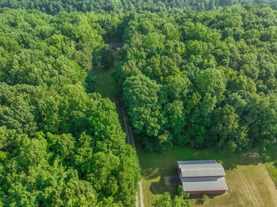 Country Home with Barn on 30± Acres – 3BR 3BA - image 5