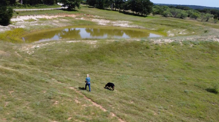 Own a Stunning Piece of Central TX Land – Build, Hunt, or Escape - image 15