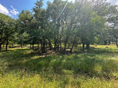 Own a Stunning Piece of Central TX Land – Build, Hunt, or Escape - image 26