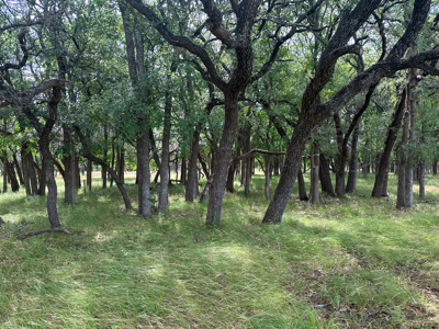 Own a Stunning Piece of Central TX Land – Build, Hunt, or Escape - image 20
