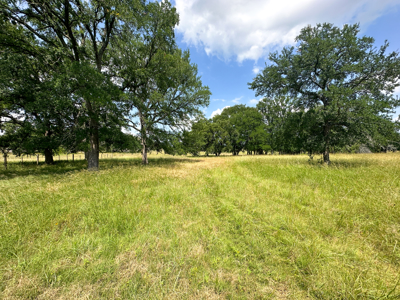 Own a Stunning Piece of Central TX Land – Build, Hunt, or Escape - image 11