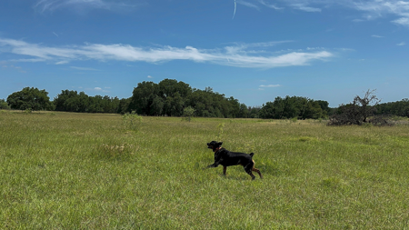 Own a Stunning Piece of Central TX Land – Build, Hunt, or Escape - image 22
