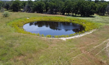 Own a Stunning Piece of Central TX Land – Build, Hunt, or Escape - image 3