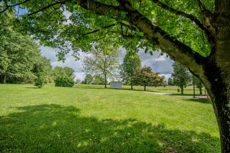 Country Home and 5 +/- Acres Lawrenceburg Tennessee - image 17