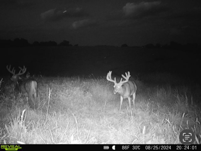Two Exceptional Tracts Totaling 162 Acres Decorah IA - image 6