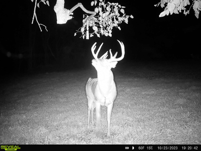 Two Exceptional Tracts Totaling 162 Acres Decorah IA - image 1