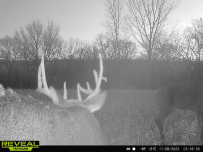 Two Exceptional Tracts Totaling 162 Acres Decorah IA - image 2