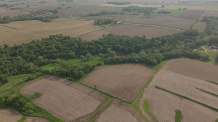 Two Exceptional Tracts Totaling 162 Acres Decorah IA - image 19