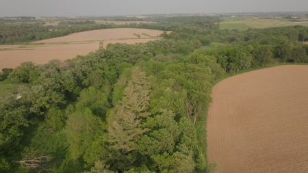 Two Exceptional Tracts Totaling 162 Acres Decorah IA - image 14