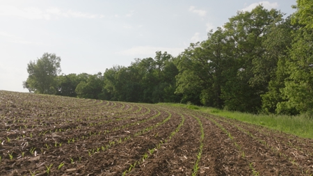 Two Exceptional Tracts Totaling 162 Acres Decorah IA - image 24