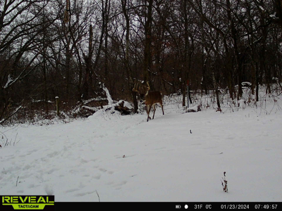 Two Exceptional Tracts Totaling 162 Acres Decorah IA - image 4