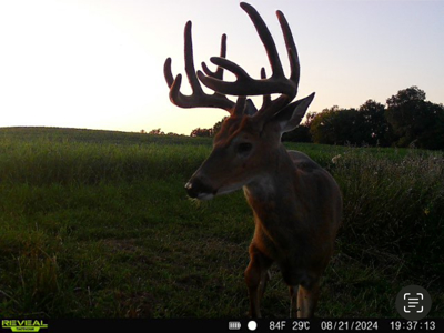 Two Exceptional Tracts Totaling 162 Acres Decorah IA - image 5