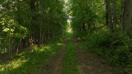 Two Exceptional Tracts Totaling 162 Acres Decorah IA - image 26
