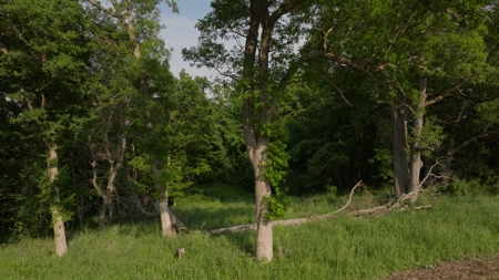 Two Exceptional Tracts Totaling 162 Acres Decorah IA - image 22