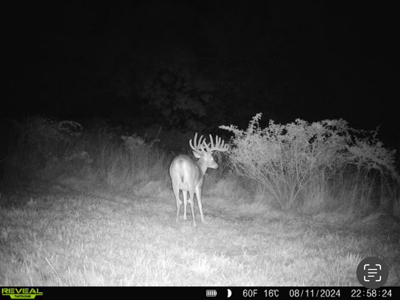 Two Exceptional Tracts Totaling 162 Acres Decorah IA - image 7