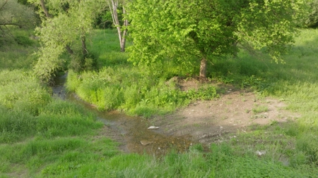 Two Exceptional Tracts Totaling 162 Acres Decorah IA - image 27