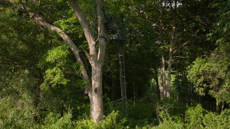 56.72 Acres in Picturesque Driftless Area Decorah IA - image 23