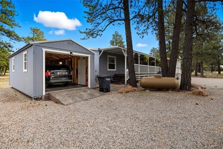 Brazos Mountain Home near Chama New Mexico - image 2
