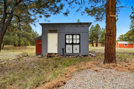 Brazos Mountain Home near Chama New Mexico - image 41