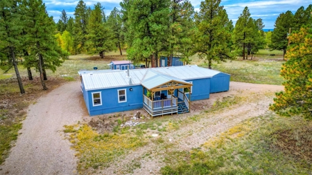 Brazos Mountain Home near Chama New Mexico - image 5