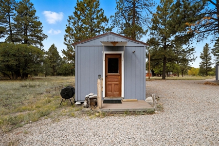 Brazos Mountain Home near Chama New Mexico - image 1
