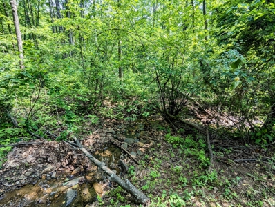 Brick Ranch for Sale at Auction in Floyd VA - image 27