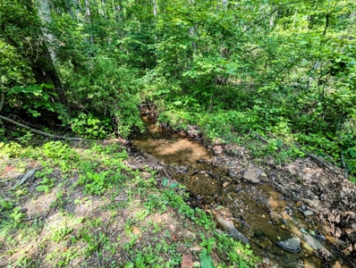 Brick Ranch for Sale at Auction in Floyd VA - image 26