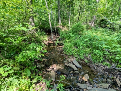 Brick Ranch for Sale at Auction in Floyd VA - image 25