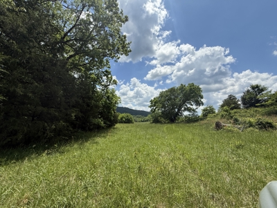 Scenic Land For Sale In The North Central Arkansas Ozarks - image 9