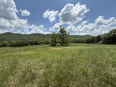 Scenic Land For Sale In The North Central Arkansas Ozarks - image 5