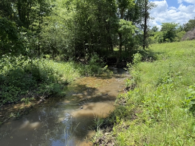 Scenic Land For Sale In The North Central Arkansas Ozarks - image 3