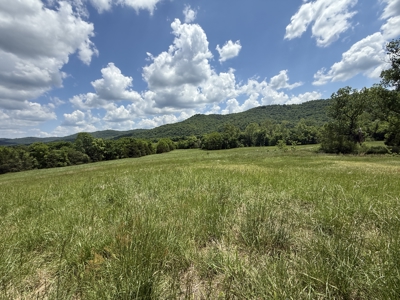 Scenic Land For Sale In The North Central Arkansas Ozarks - image 4