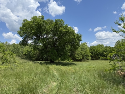 Scenic Land For Sale In The North Central Arkansas Ozarks - image 10