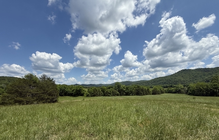 Scenic Land For Sale In The North Central Arkansas Ozarks - image 12